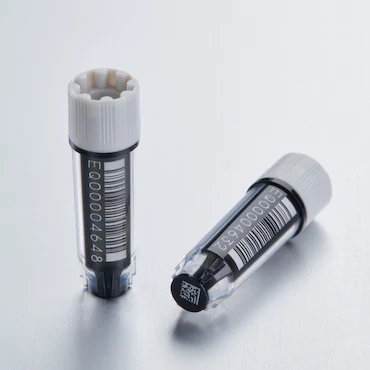 艾本德Eppendorf CryoStorage Vial, 0.5 mL, 不含 DNase、RNase、人類 DNA 和內(nèi)毒素；外螺紋，預(yù)先加蓋灰色管蓋，帶 2D SafeCode (DataMa