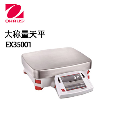 奧豪斯EXPLORER 大稱量天平EX35001