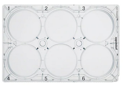 德國艾本德(Eppendorf)Cell Culture Plates,6-Well,無菌無熱原,無RNase和DNase,無人類和細菌DNA,無細胞毒素,未處理,5mL,60塊,獨立包裝